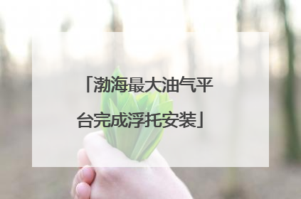 渤海最大油气平台完成浮托安装